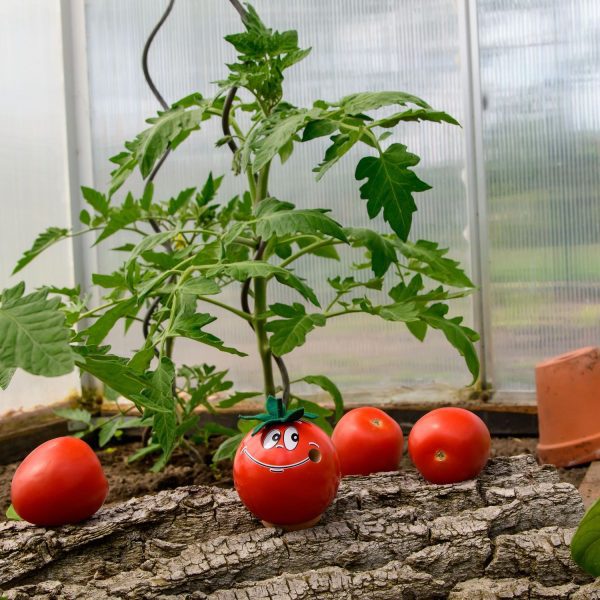 Funny Incense Smoker Tomato - Image 4