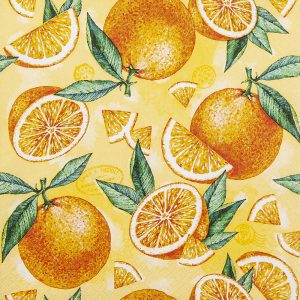 Decoupage Napkins Pieces of Oranges