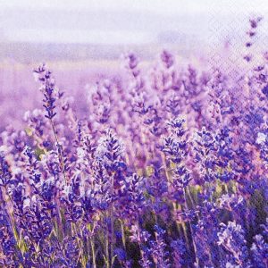 Decoupage Napkins Field of Lavender