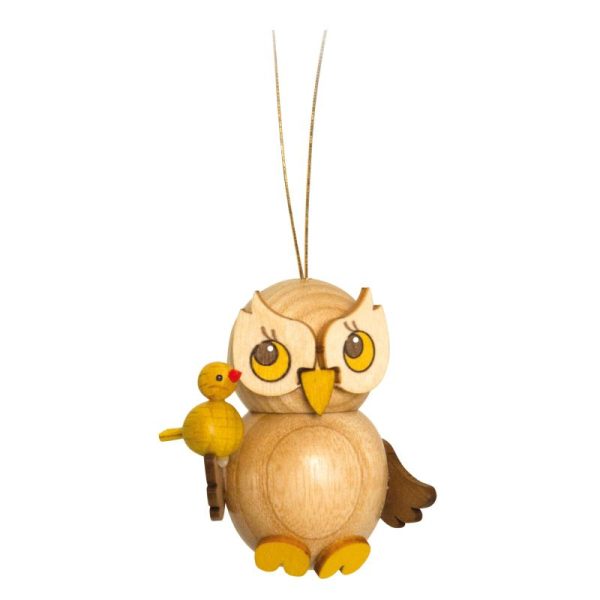 Owl child with bird
