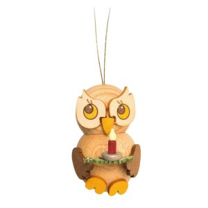 Owl child with candle on branch