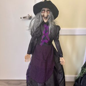 Halloween Witch Madam Morbida purple